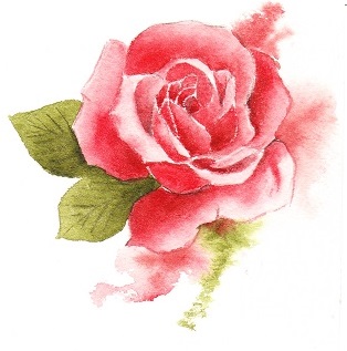 Rose 6R